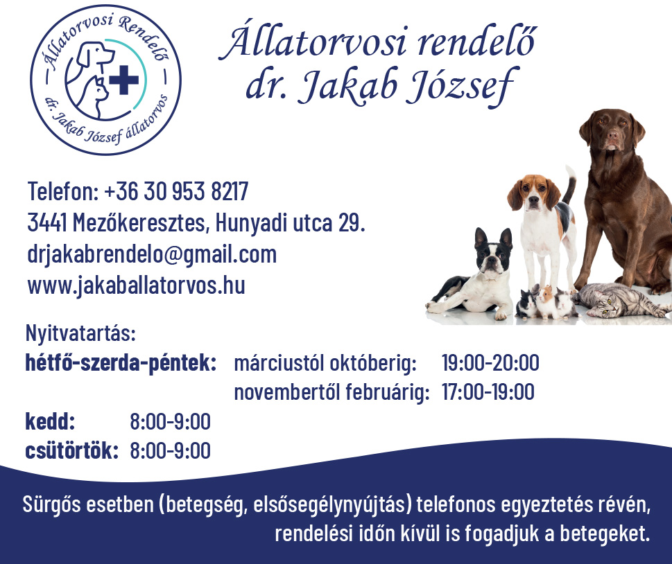 állatorvos, állatorvosi rendelő Mezőkövesd